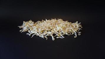 Fresh mung bean sprouts on black background. photo