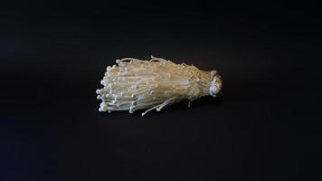 fresh enoki mushroom on black background. photo