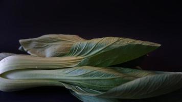 Fresh Bok choy vegetable on black background. photo