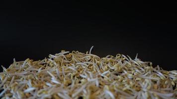 Fresh mung bean sprouts on black background. photo