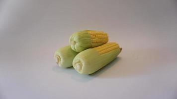 Fresh sweet corn on white background. photo