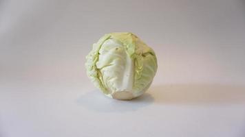 Fresh pointed white cabbage on white background. photo