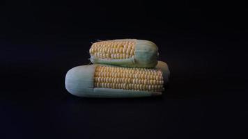 Fresh sweet corn on black background. photo