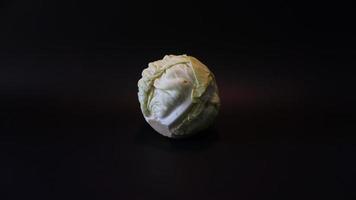 Fresh pointed white cabbage on black background. photo