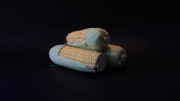 Fresh sweet corn on black background. photo