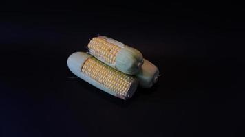 Fresh sweet corn on black background. photo