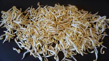 Fresh mung bean sprouts on black background. photo