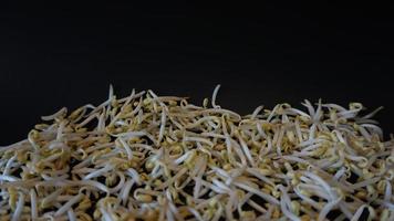 Fresh mung bean sprouts on black background. photo