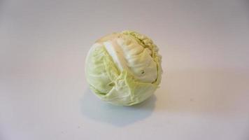 Fresh pointed white cabbage on white background. photo