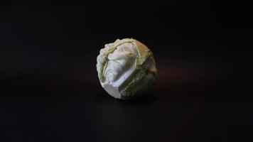 Fresh pointed white cabbage on black background. photo