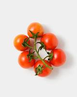 Cherry tomatoes on branches on white background. photo