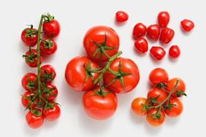 Various tomatoes on white background. photo