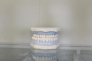 dental teeth props images photo