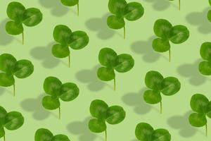 Clover leaf pattern on a green background. Abstract background for St. Patrick's Day photo