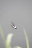 photo of a boat in the middle of a lake during the day