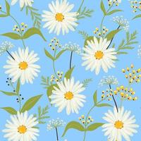 Floral vector seamless pattern.Daisies on a blue background. Seamless vector texture.