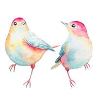 Hand drawn cute cartoon birds, watercolor vector