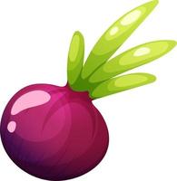 Cartoon red onion on transparent background. Vegetable Collection vector