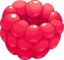Cartoon juicy raspberry, pink berry on transparent background 18921010  Vector Art at Vecteezy