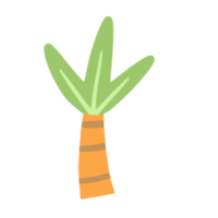 palmier en dessin animé mignon png