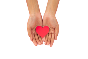 Heart in palm hand png