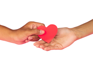 hands give red hearts to valentines day theme png