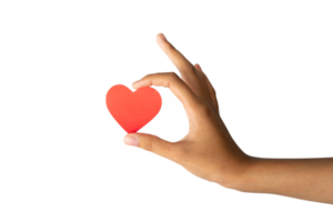 heart in hand for valentine png