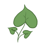 ilustración de hoja verde png