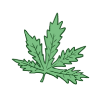 illustration de feuille verte png