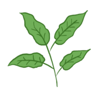 grönt blad illustration png