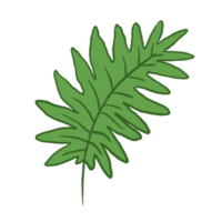 ilustración de hoja verde png