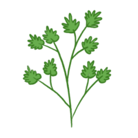 illustration de feuille verte png