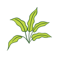 illustration de feuille verte png