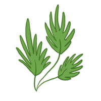 grönt blad illustration png