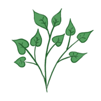 grönt blad illustration png