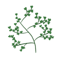 illustration de feuille verte png