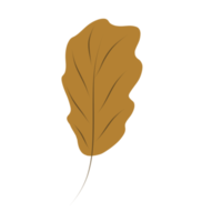 illustration of dry leaves in autumn version three png