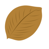 illustratie van droog bladeren in herfst versie vijf png