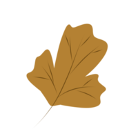 ilustração de folhas secas no outono versão quatro png