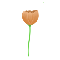 Illustration of red flower png