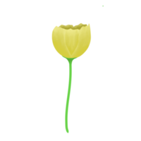 Illustration of yellow flower png