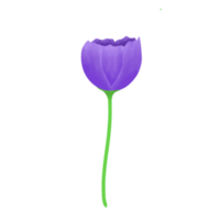 Illustration of purple flower png