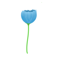 Illustration of blue flower png