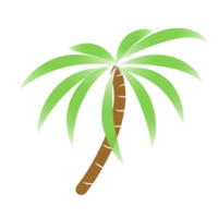 ilustración de árbol de coco png