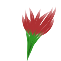 Red flower in green spring png