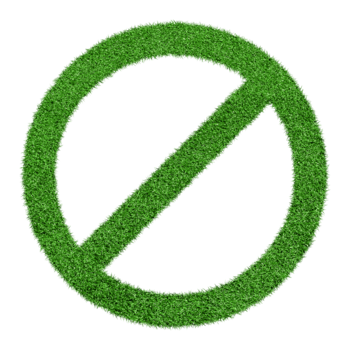 No Background PNGs for Free Download