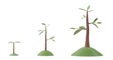 3D rendering. Tree growth diagram isolated on transparent background PNG file