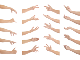 Collection of human hands in multiple gesture isolated on transparent background PNG file