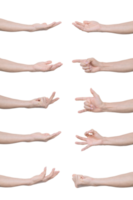 Collection of man hands gestures Isolated on transparent background PNG file