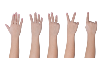 mão de crianças mostrando contagem de um a cinco dedos isolada em arquivo png de fundo transparente